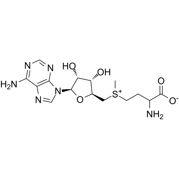 S-Adenosyl-DL-methionine 17176-17-9